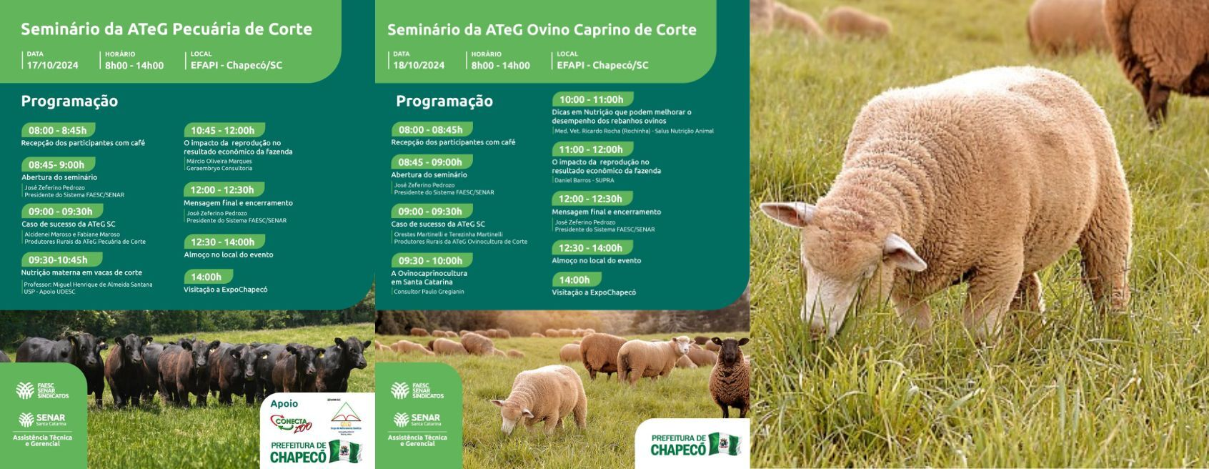 Produtores rurais da ATeG Pecuária de Corte e da Ovinocultura participarão de Seminários do Sistema FAESC/SENAR