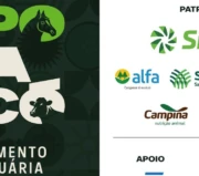 Expochapecó movimentará o agronegócio do sul do Brasil nesta semana