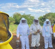 Curso aborda “Produção de Abelha Rainha” em São José do Cerrito