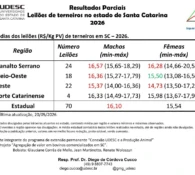 Mercado de terneiros em Santa Catarina mantém estabilidade nos preços