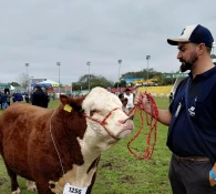 Santa Catarina se destaca na Expointer 2026 com 65 animais premiados