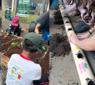 Projeto “Plantando para o Futuro: Horta no acolhimento” beneficia crianças e adolescentes do Programa Novos Caminhos