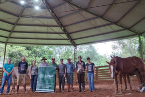 TREINAMENTOS Sistema Faesc/Senar/Sindicatos leva quase 500 cursos gratuitos ao campo em março