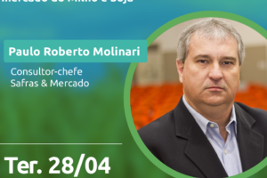 Webinar do Sistema FAESC/SENAR e SAFRAS & MERCADO debate cenário do milho e da soja