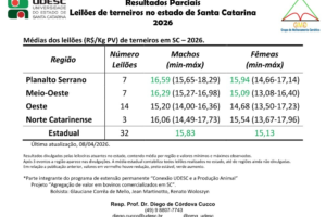 Divulgado o quinto resultado parcial dos leilões de terneiros em SC