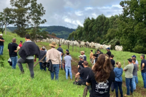 Visita técnica destaca resultados da ATeG na bovinocultura de corte em Anchieta