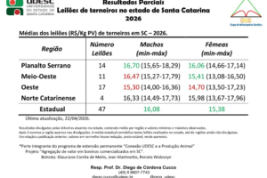 Preço de terneiros em SC revela alta na média estadual e variações regionais