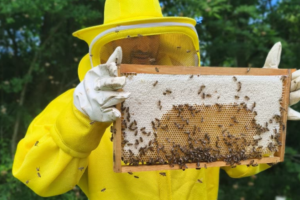 Sistema FAESC/SENAR estará presente no CONBRAPI, em Florianópolis