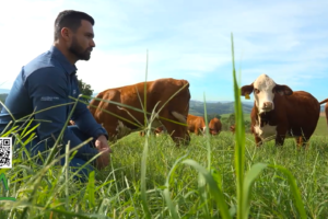 Saiba como ATeG pode transformar os resultados de uma propriedade rural