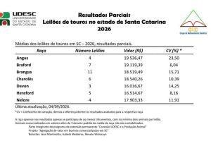 Divulgado o quarto levantamento de preços de touros em leilões
