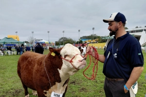 Santa Catarina se destaca na Expointer 2026 com 65 animais premiados