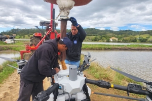 ATeG aprimora gestão e rentabilidade na produção de arroz em Santa Catarina