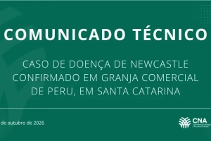 Newcastle - CNA reforça confiança na defesa sanitária e no compromisso dos produtores com biosseguridade