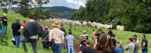 Visita técnica destaca resultados da ATeG na bovinocultura de corte em Anchieta