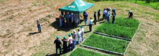 Dia de Campo destaca técnicas para fortalecer a ovinocaprinocultura no Vale do Itajaí