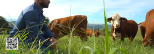 Saiba como ATeG pode transformar os resultados de uma propriedade rural