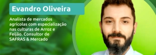 Sistema FAESC/SENAR e Safras & Mercado promovem webinar gratuito sobre o mercado do arroz