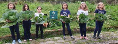 Projeto “Plantando para o futuro” rende bons frutos em Santa Catarina