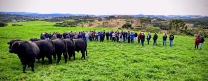 Dia de Campo da ATeG Pecuária de Corte demonstra o potencial do setor para mais de 100 produtores em São Joaquim