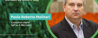 Webinar debate oferta e demanda global e perspectivas para os mercados de milho e soja