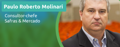 Webinar do Sistema FAESC/SENAR e SAFRAS & MERCADO debate cenário do milho e da soja