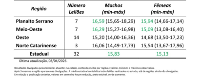 Divulgado o quinto resultado parcial dos leilões de terneiros em SC