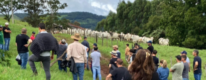 Visita técnica destaca resultados da ATeG na bovinocultura de corte em Anchieta