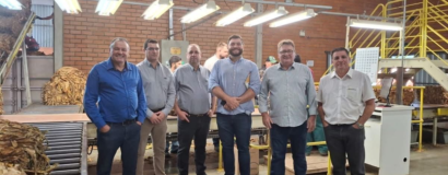 Entidades do setor produtivo avaliam safra de tabaco nos três Estados do Sul