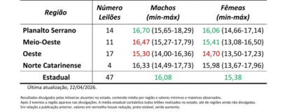 Preço de terneiros em SC revela alta na média estadual e variações regionais
