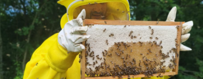 Sistema FAESC/SENAR estará presente no CONBRAPI, em Florianópolis