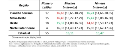 Leilões de terneiros registram alta nos preços em Santa Catarina