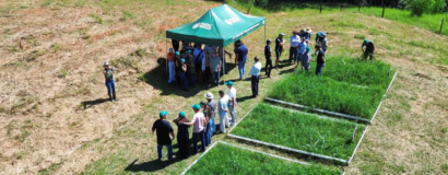 Dia de Campo destaca técnicas para fortalecer a ovinocaprinocultura no Vale do Itajaí