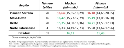 Leilões de terneiros seguem com resultados positivos e médias estáveis em SC
