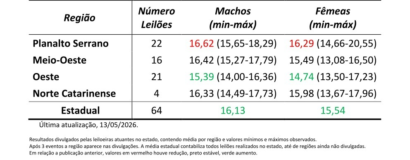 Preço dos machos estabiliza e fêmeas avançam nos leilões de terneiros em SC