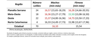 Mercado de terneiros em Santa Catarina mantém estabilidade nos preços