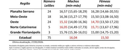 Levantamento aponta estabilização dos preços de terneiros em duas regiões e queda em outras duas