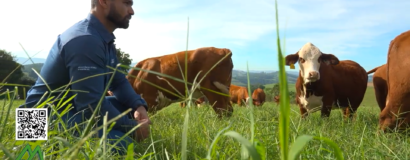 Saiba como ATeG pode transformar os resultados de uma propriedade rural.