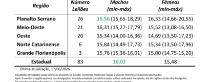 Leilões de terneiros e terneiras em SC chegam a 83 eventos no primeiro semestre