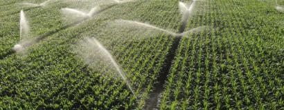FAESC destaca articulação da CNA para manter   benefícios de ICMS ao agro