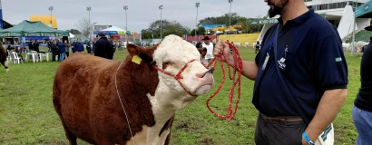 Santa Catarina se destaca na Expointer 2026 com 65 animais premiados