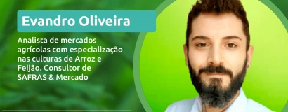 Sistema FAESC/SENAR e Safras & Mercado promovem webinar gratuito sobre o mercado do arroz