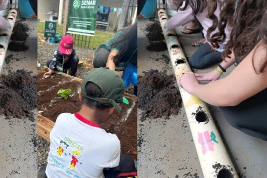 Projeto “Plantando para o Futuro: Horta no acolhimento” beneficia crianças e adolescentes do Programa Novos Caminhos