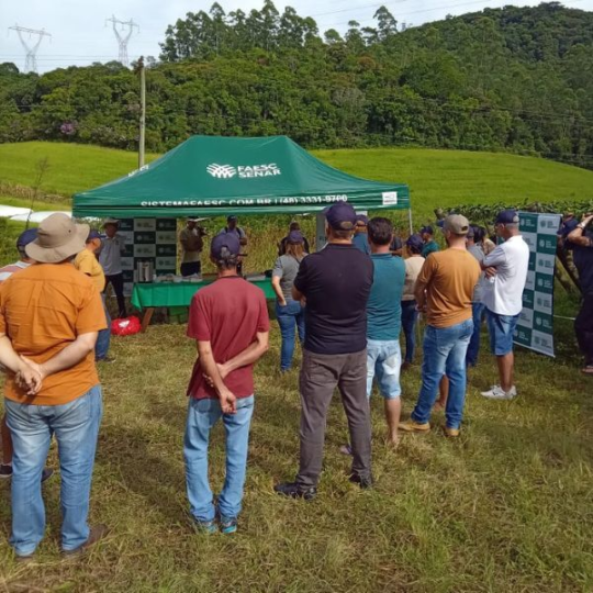Grupo da ATeG Fruticultura aperfeiçoa conhecimentos práticos em propriedade rural de Pedras Grandes