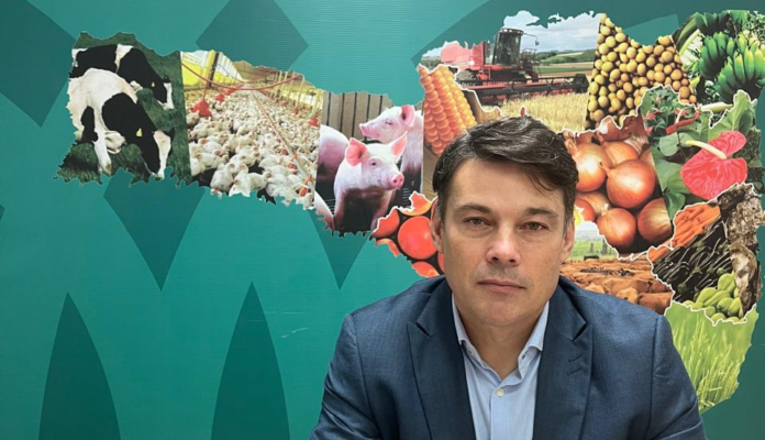 FAESC apoia PL que visa permitir o manejo sustentável da Araucária