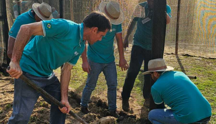 Capacitação do Pró-Mudas reúne participantes de quatro estados em Santa Catarina