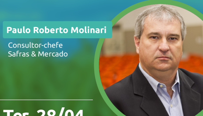 Webinar do Sistema FAESC/SENAR e SAFRAS & MERCADO debate cenário do milho e da soja
