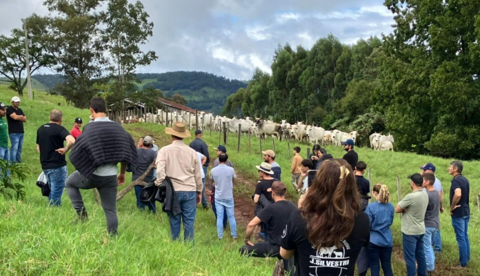 Visita técnica destaca resultados da ATeG na bovinocultura de corte em Anchieta