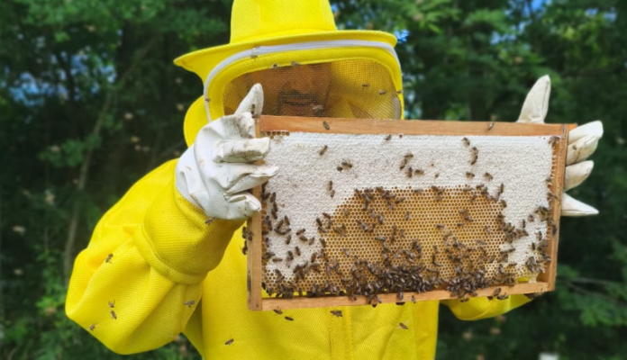 Sistema FAESC/SENAR estará presente no CONBRAPI, em Florianópolis