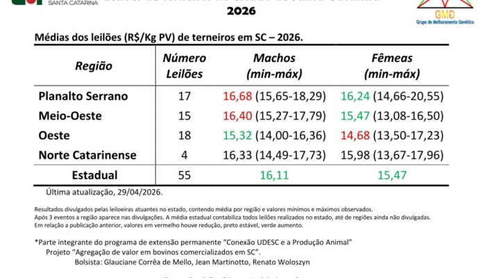Leilões de terneiros registram alta nos preços em Santa Catarina