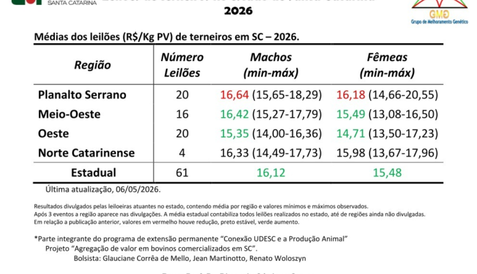Leilões de terneiros seguem com resultados positivos e médias estáveis em SC